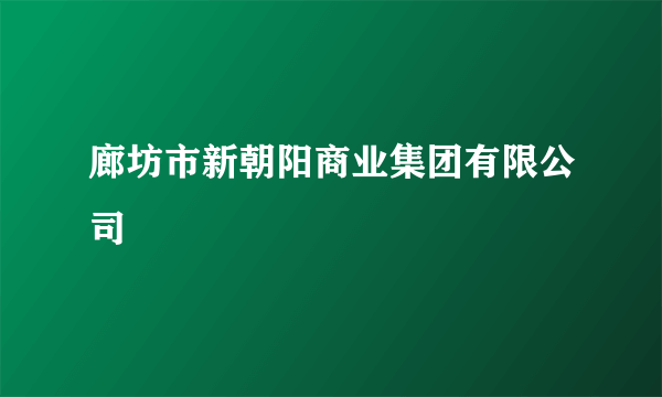 廊坊市新朝阳商业集团有限公司