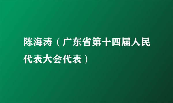 陈海涛（广东省第十四届人民代表大会代表）