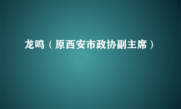 龙鸣（原西安市政协副主席）