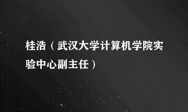 桂浩（武汉大学计算机学院实验中心副主任）