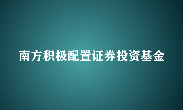 南方积极配置证券投资基金