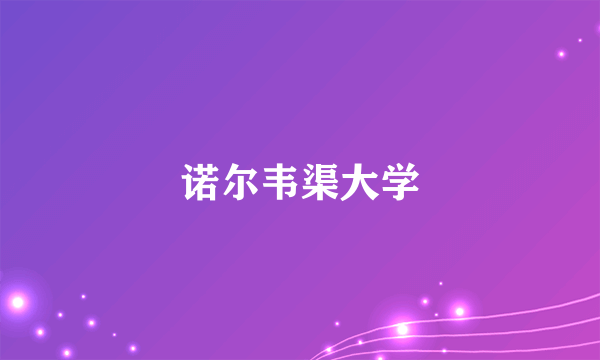 诺尔韦渠大学