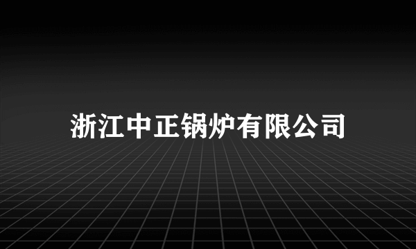 浙江中正锅炉有限公司