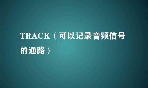 TRACK（可以记录音频信号的通路）