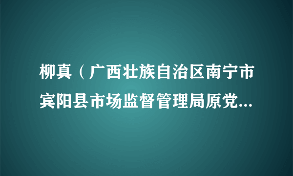 柳真（广西壮族自治区南宁市宾阳县市场监督管理局原党组成员、原副局长（正科长级））