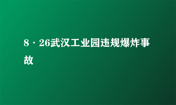 8·26武汉工业园违规爆炸事故