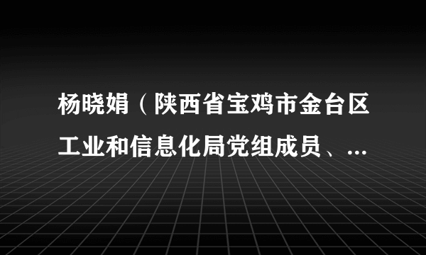 杨晓娟（陕西省宝鸡市金台区工业和信息化局党组成员、副局长）