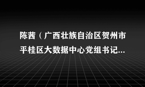 陈茜（广西壮族自治区贺州市平桂区大数据中心党组书记、主任）