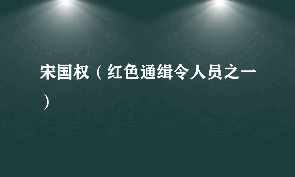 宋国权（红色通缉令人员之一）