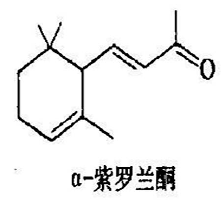 β-紫罗兰酮