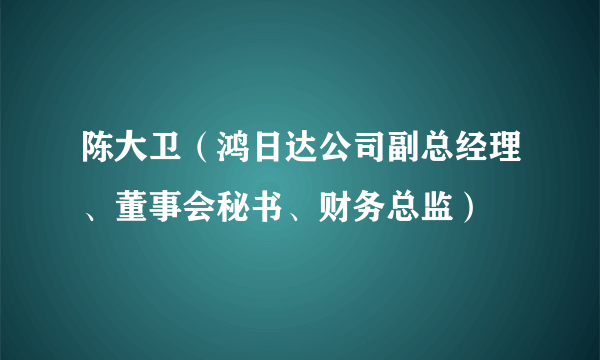 陈大卫（鸿日达公司副总经理、董事会秘书、财务总监）