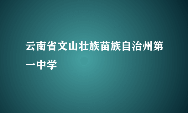 云南省文山壮族苗族自治州第一中学