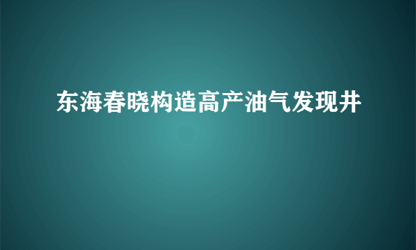 东海春晓构造高产油气发现井