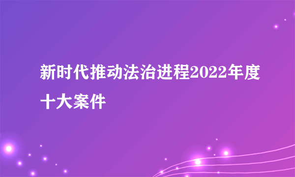 新时代推动法治进程2022年度十大案件