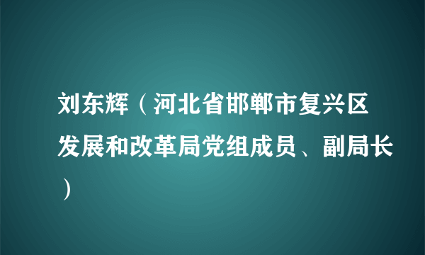 刘东辉（河北省邯郸市复兴区发展和改革局党组成员、副局长）