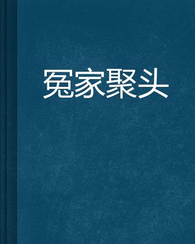 冤家聚头（泪芷儿创作的网络小说）