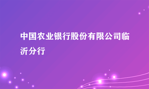 中国农业银行股份有限公司临沂分行