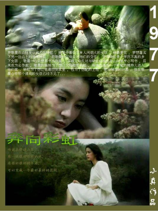 奔向彩虹（1977年高山岚导演中国台湾电影）