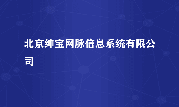 北京绅宝网脉信息系统有限公司