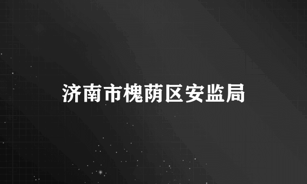 济南市槐荫区安监局