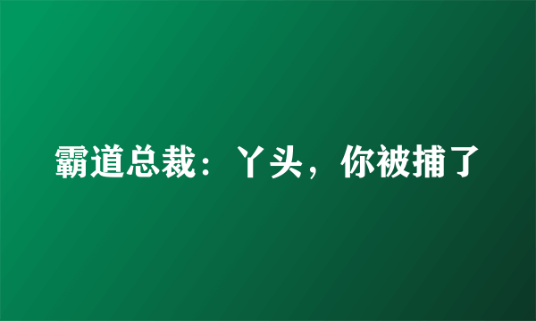 霸道总裁：丫头，你被捕了