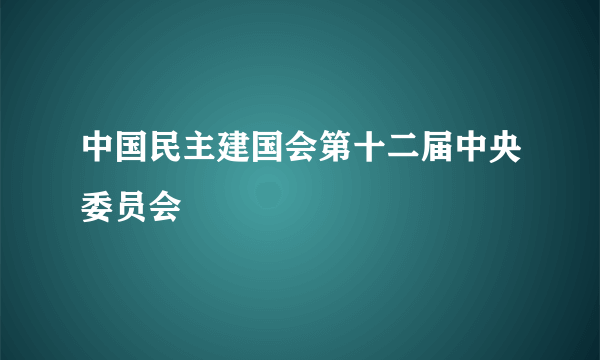 中国民主建国会第十二届中央委员会