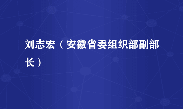 刘志宏（安徽省委组织部副部长）