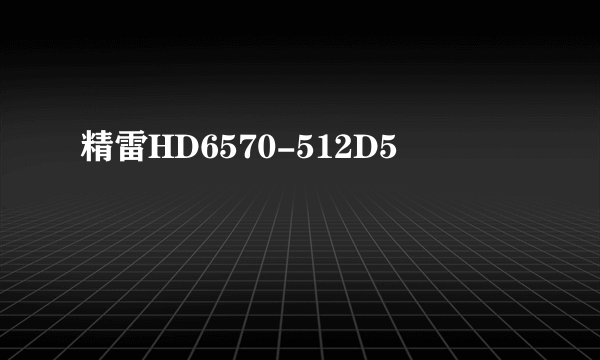 精雷HD6570-512D5