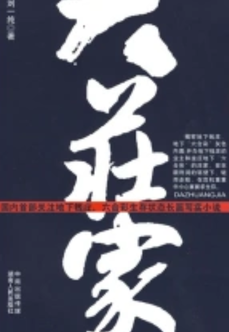 大庄家（2009年湖南人民出版社出版的图书）