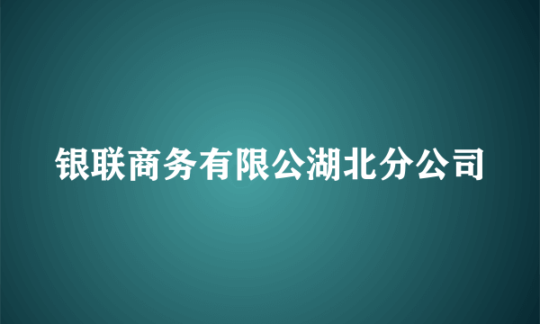 银联商务有限公湖北分公司