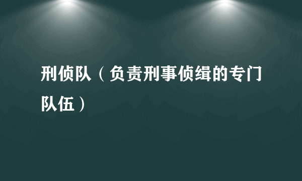 刑侦队（负责刑事侦缉的专门队伍）