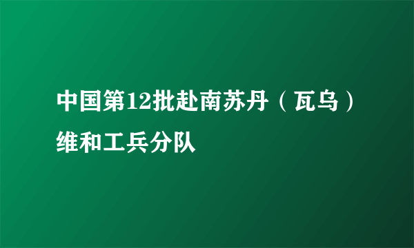 中国第12批赴南苏丹（瓦乌）维和工兵分队