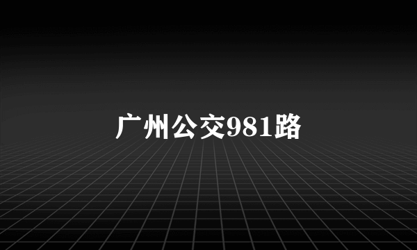 广州公交981路