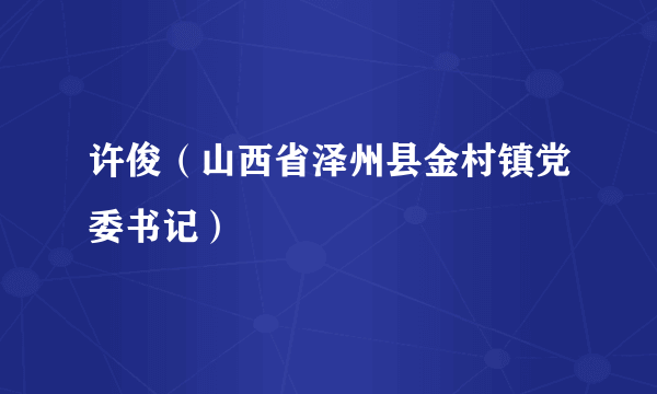 许俊（山西省泽州县金村镇党委书记）