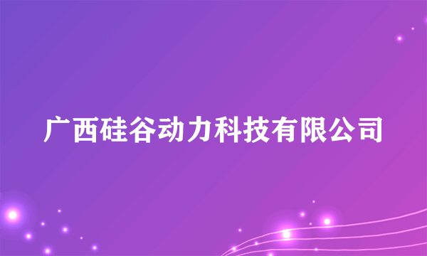 广西硅谷动力科技有限公司