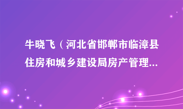 牛晓飞（河北省邯郸市临漳县住房和城乡建设局房产管理中心主任）