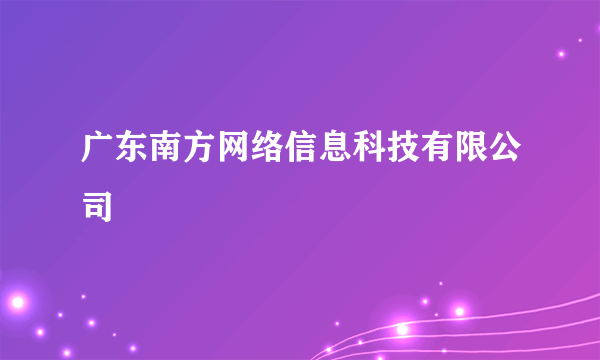 广东南方网络信息科技有限公司