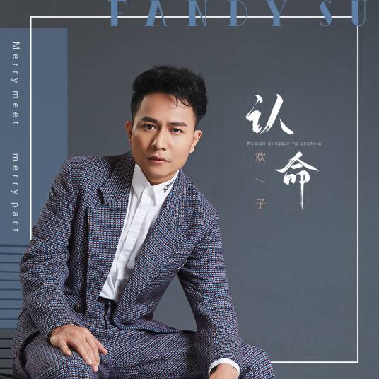 认命（欢子2019年歌曲）