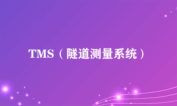 TMS（隧道测量系统）