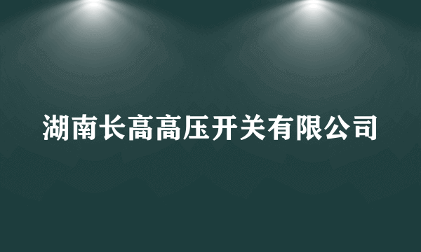 湖南长高高压开关有限公司