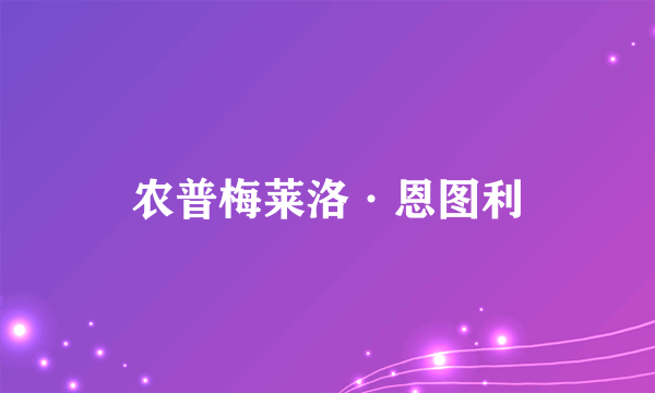 农普梅莱洛·恩图利