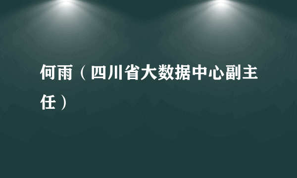 何雨（四川省大数据中心副主任）