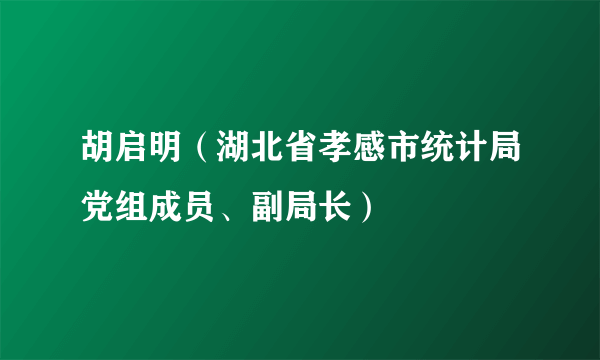 胡启明（湖北省孝感市统计局党组成员、副局长）