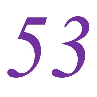 53