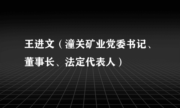 王进文（潼关矿业党委书记、董事长、法定代表人）