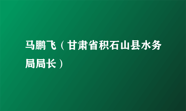 马鹏飞（甘肃省积石山县水务局局长）