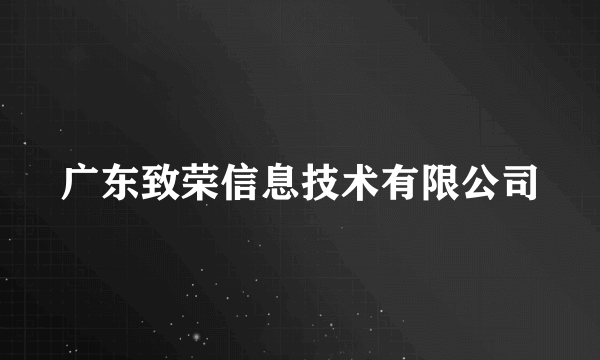 广东致荣信息技术有限公司