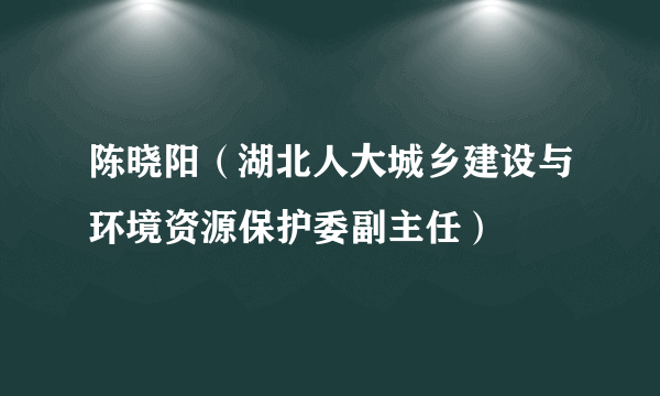 陈晓阳（湖北人大城乡建设与环境资源保护委副主任）