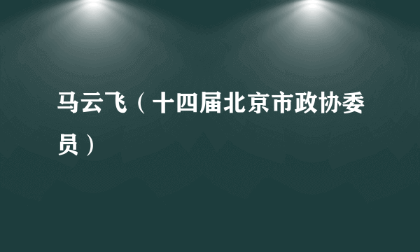 马云飞（十四届北京市政协委员）