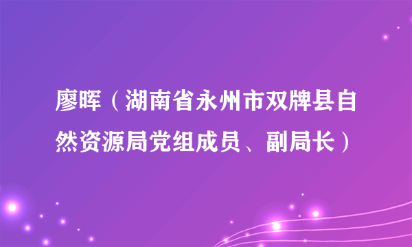 廖晖（湖南省永州市双牌县自然资源局党组成员、副局长）